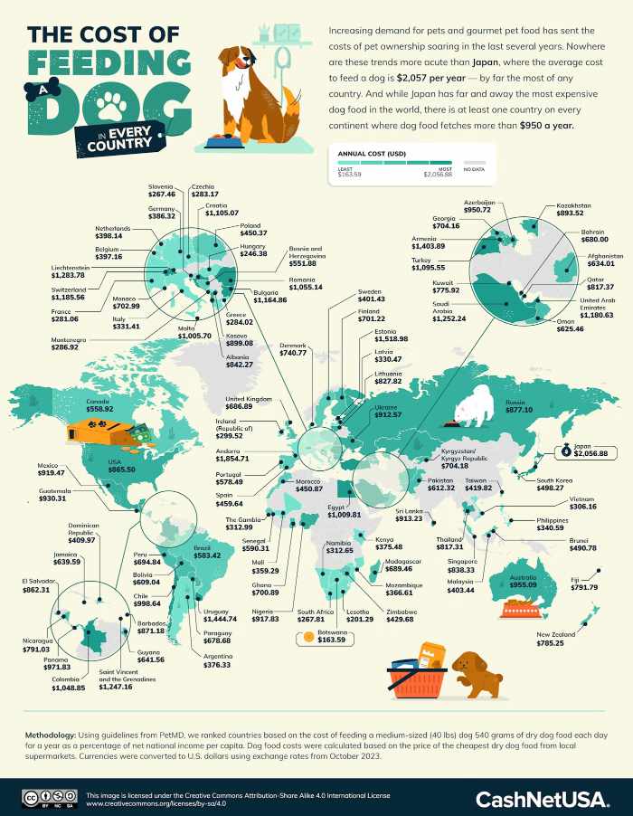 Cost of Feeding Your Dog in Every Country