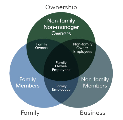 3 Circle for Family Businesses
